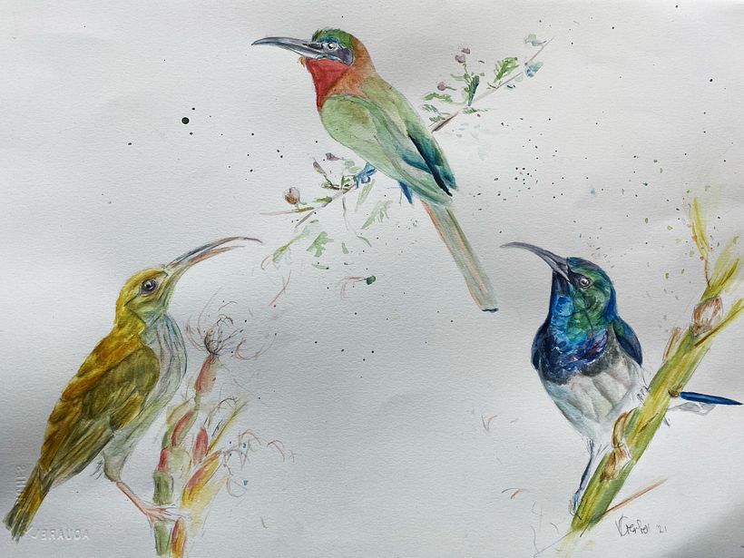 Sunbird informant... the news is gripping!