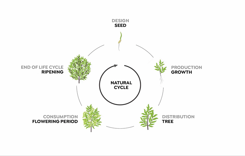 The ideal life cycle of a product imitates the life cycle of a living thing.