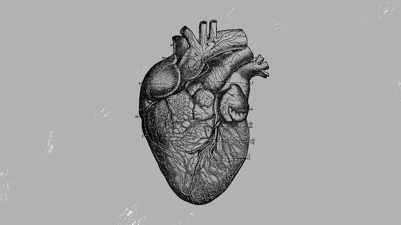 Curious Minds Podcast: Why We ♥️ Symbols 7