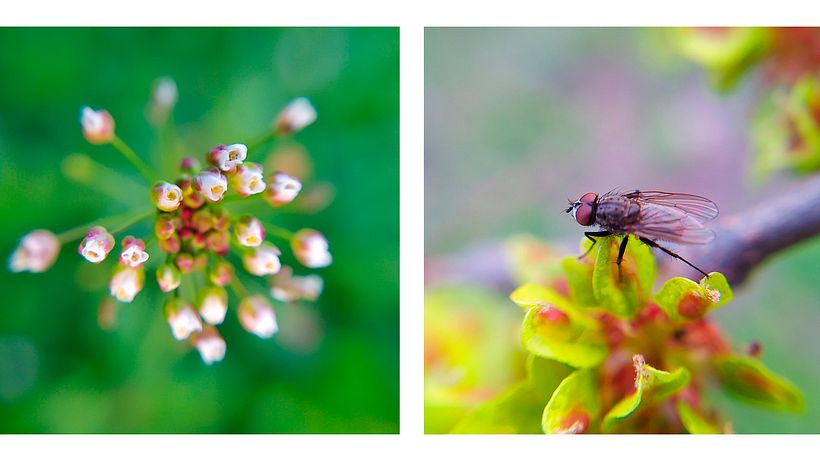 Il mio progetto del corso: Fotografia e video professionale con il tuo cellulare 4