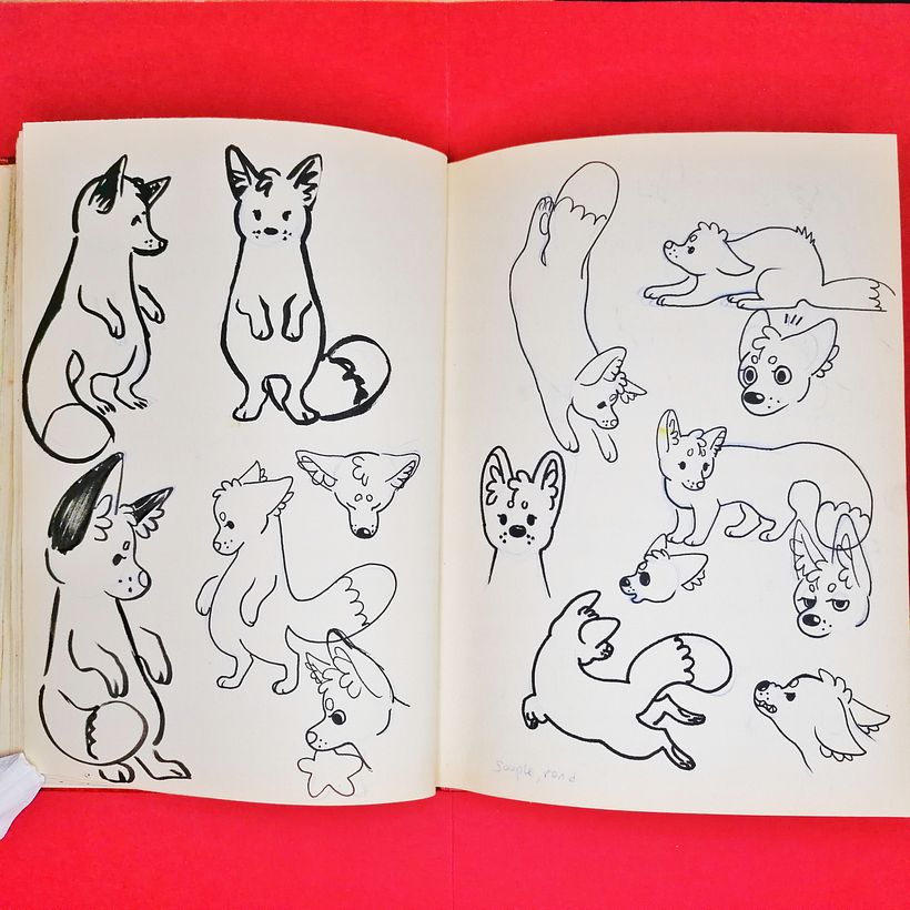 Studies of my hero