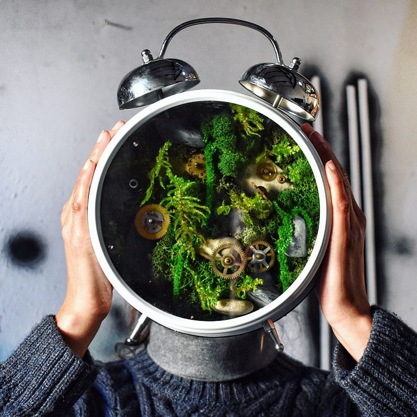 Un terrario dentro de un antiguo reloj. Por Bois Joli.
