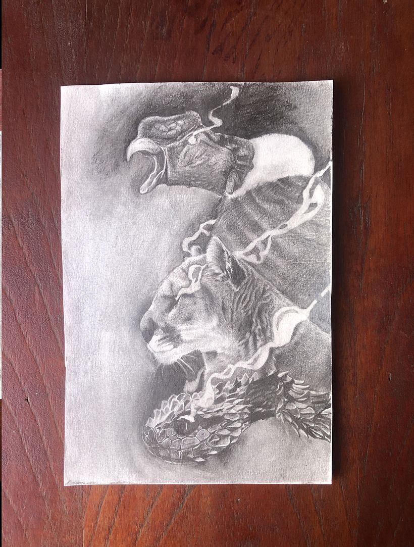 En esta ocasion decidi experimentar un poco con el lapiz tratando de aprender texturas de pelaje, plumaje y escamas. 