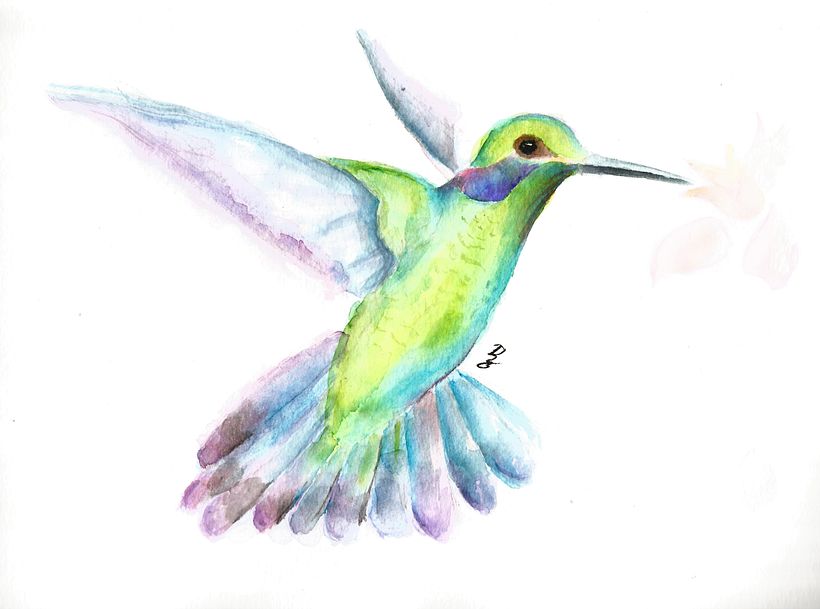 Colibrí en acuarela 0