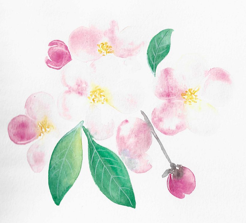 My project in Creation of Color Palettes with Watercolor course 0