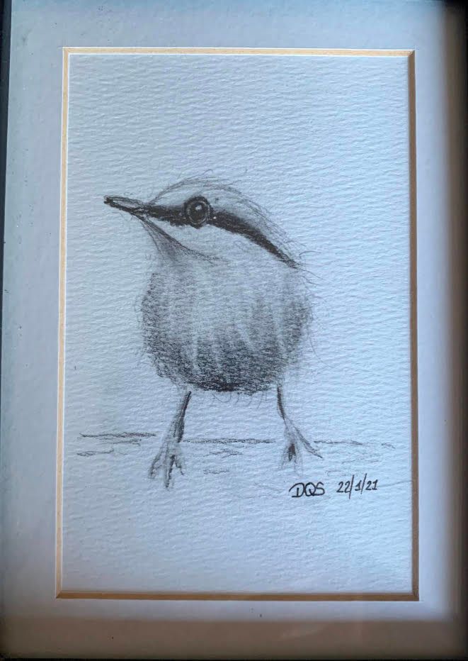 My project in Artistic Watercolor Techniques for Illustrating Birds course 1