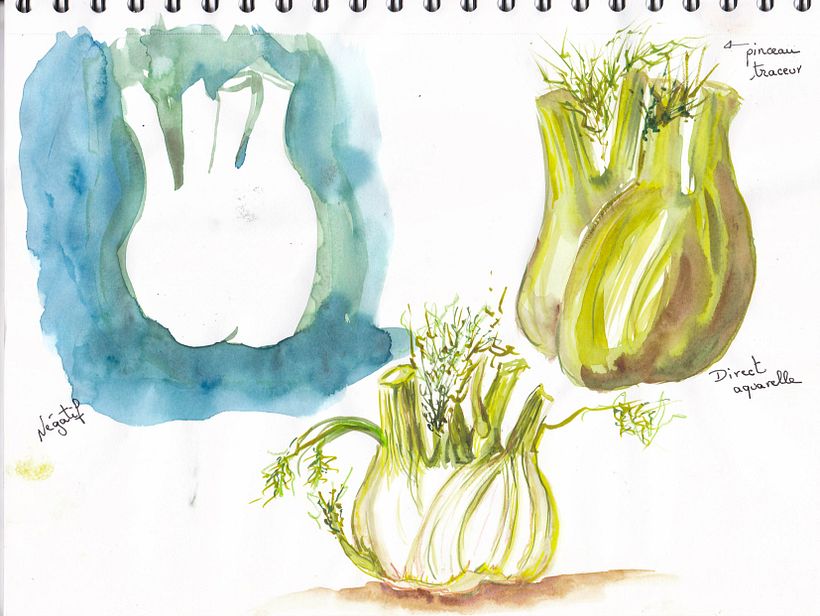Fennel study 1
