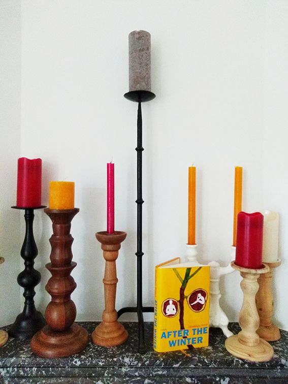 Book cover; After the winter 9