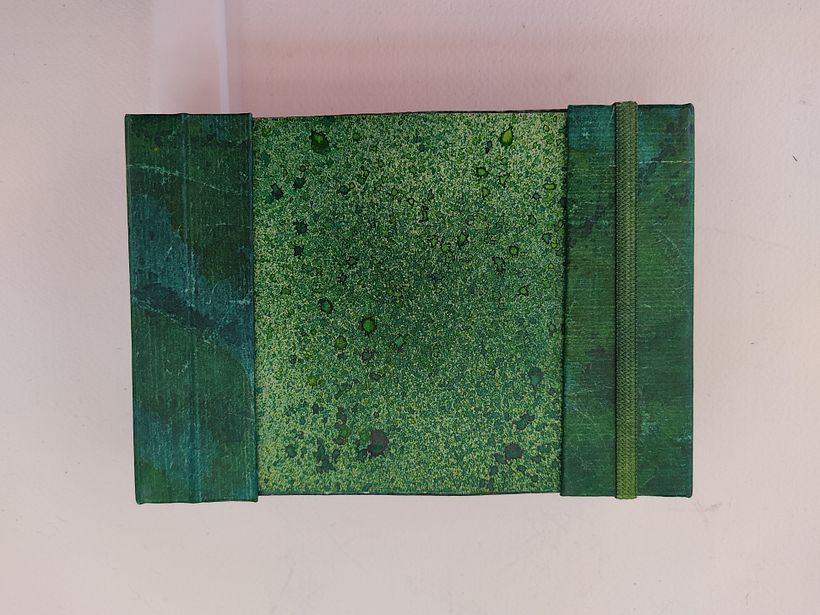 Tapa trasera. Tyvek y cartulina tintadas