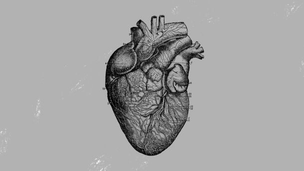 Curious Minds Podcast: por qué la gente ♥ los símbolos 7