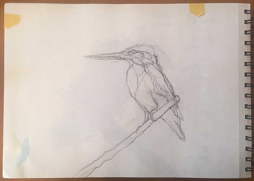 Kingfisher in watercolor: updated 5
