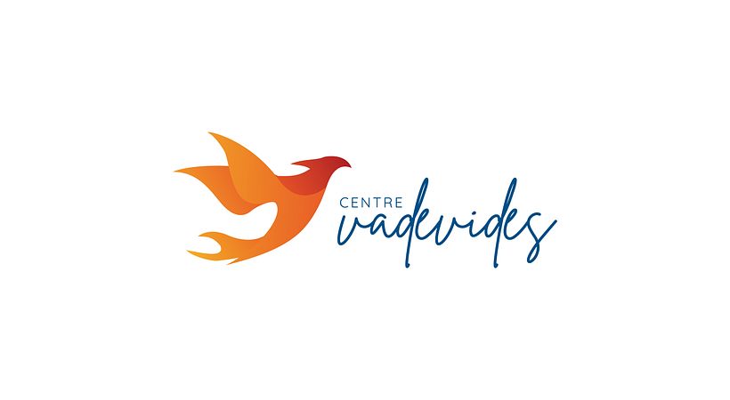 Vadevides - Branding i identyfikacja wizualna