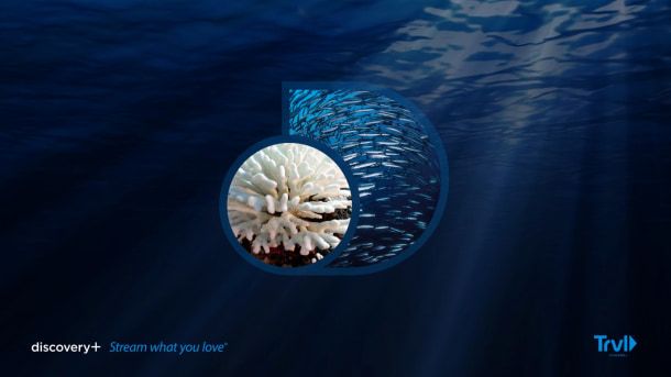 Arte creado para discovery+. Chermayeff & Geismar & Haviv
