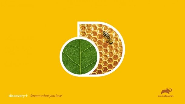 Arte para discovery+. Chermayeff & Geismar & Haviv