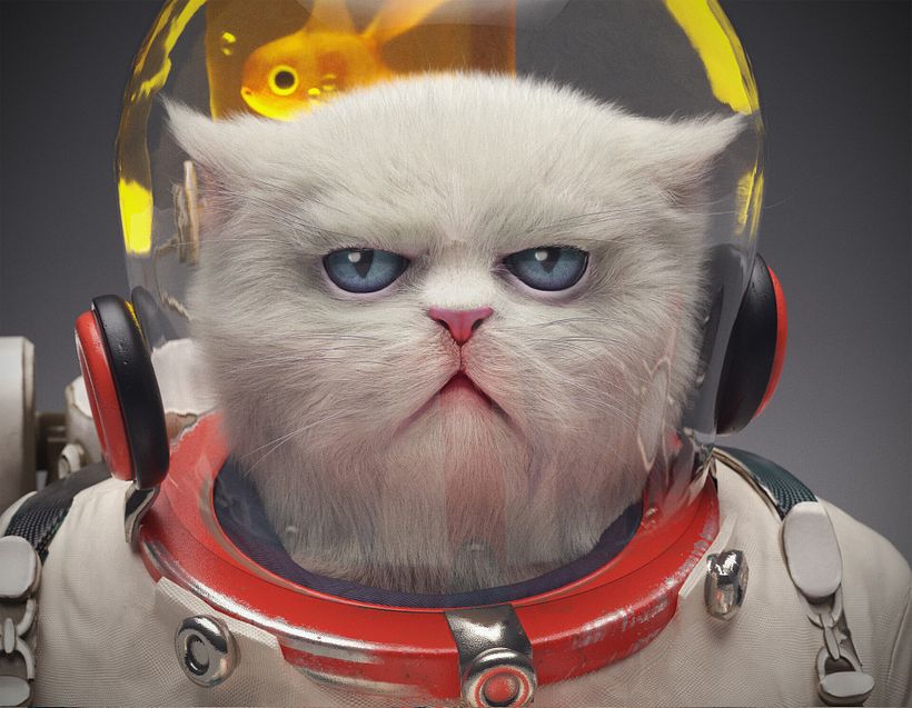 In space no one can hear you purr 0