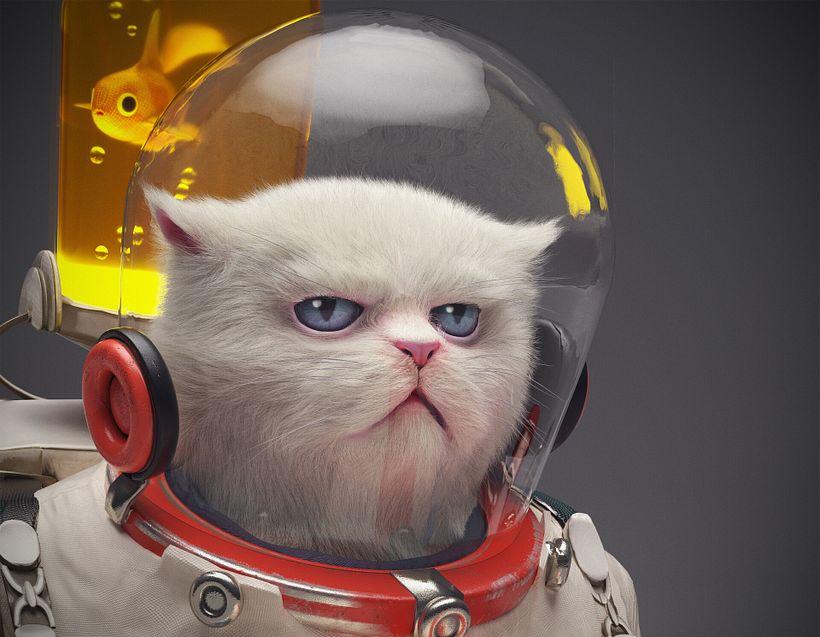 In space no one can hear you purr 1