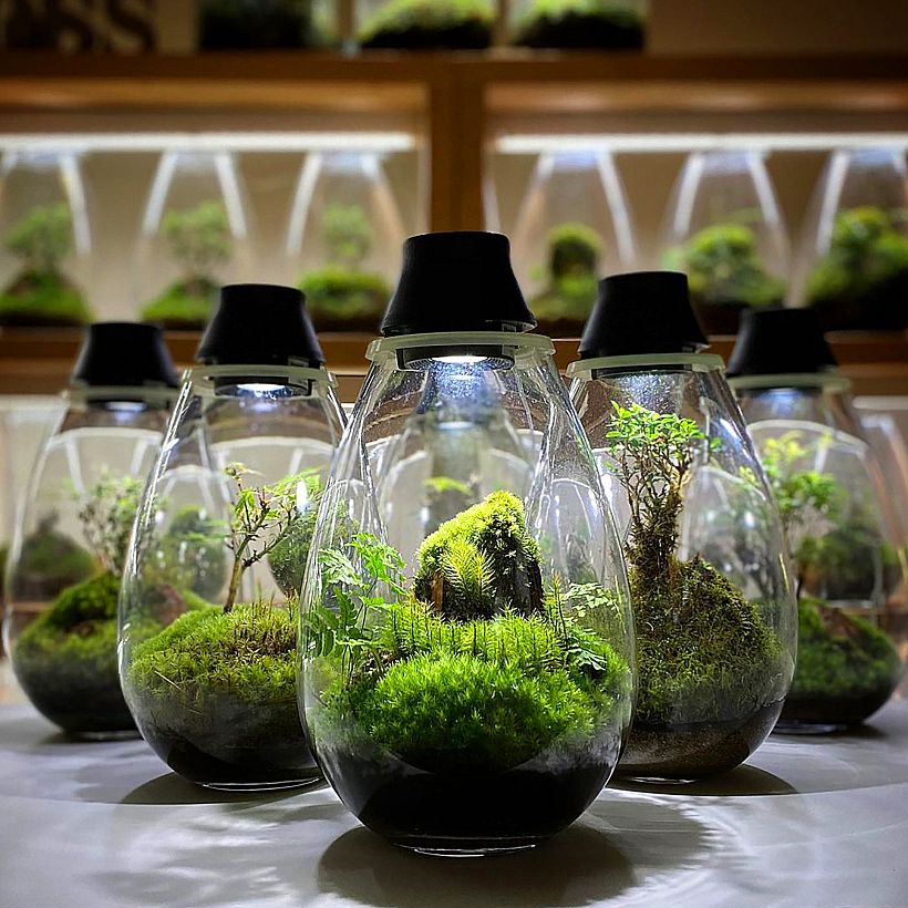 El estudio Moss realiza puestas en escena especiales.