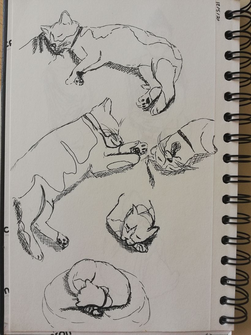 Mi Proyecto del curso: Cuadernos de dibujo: encuentra un lenguaje propio 0