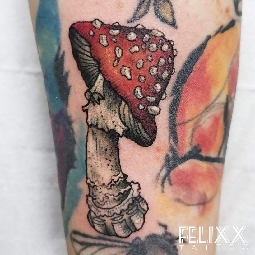 Mushroom Tattoo  0