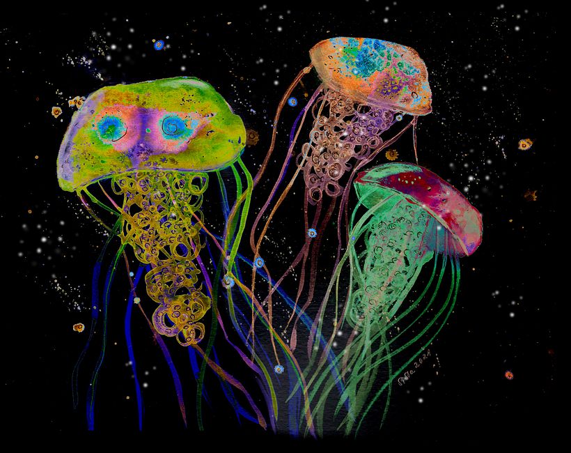 Jellyfishes - Same image, scanned and edited in Photoshop with effects
