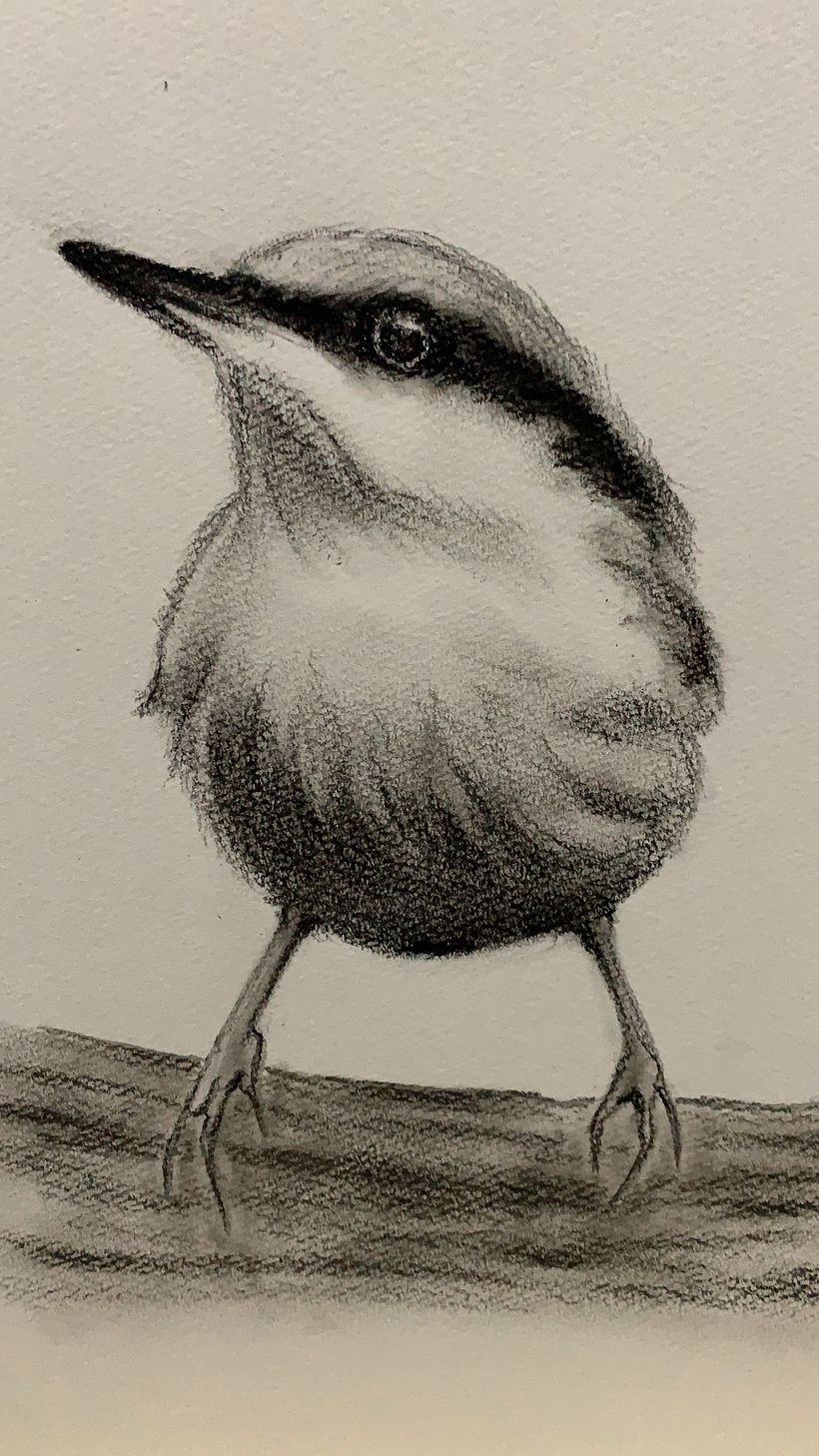 The first sketch - charcoal study on tonal values