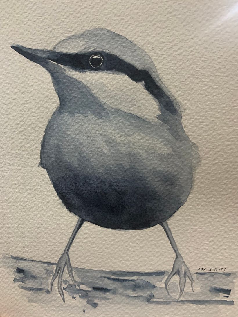 The second step - watercolor study of tonal values