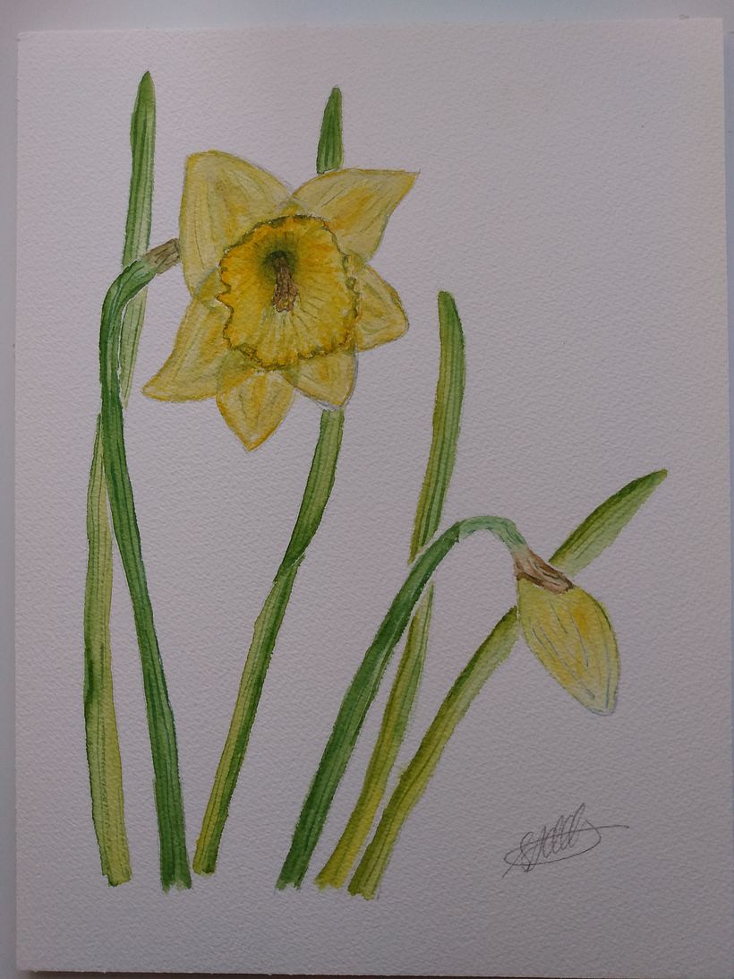 My project in Botanical Watercolor: Illustrate the Anatomy of Flowers course 0