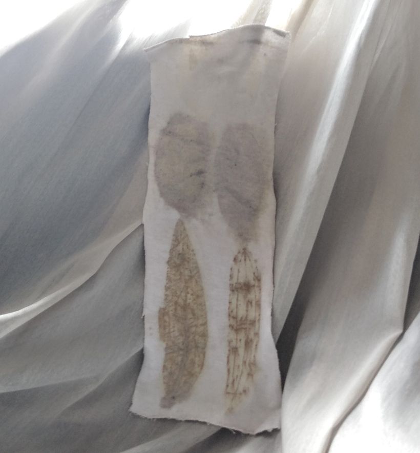 Amostra impressão com banho rápido de sulfato ferroso 