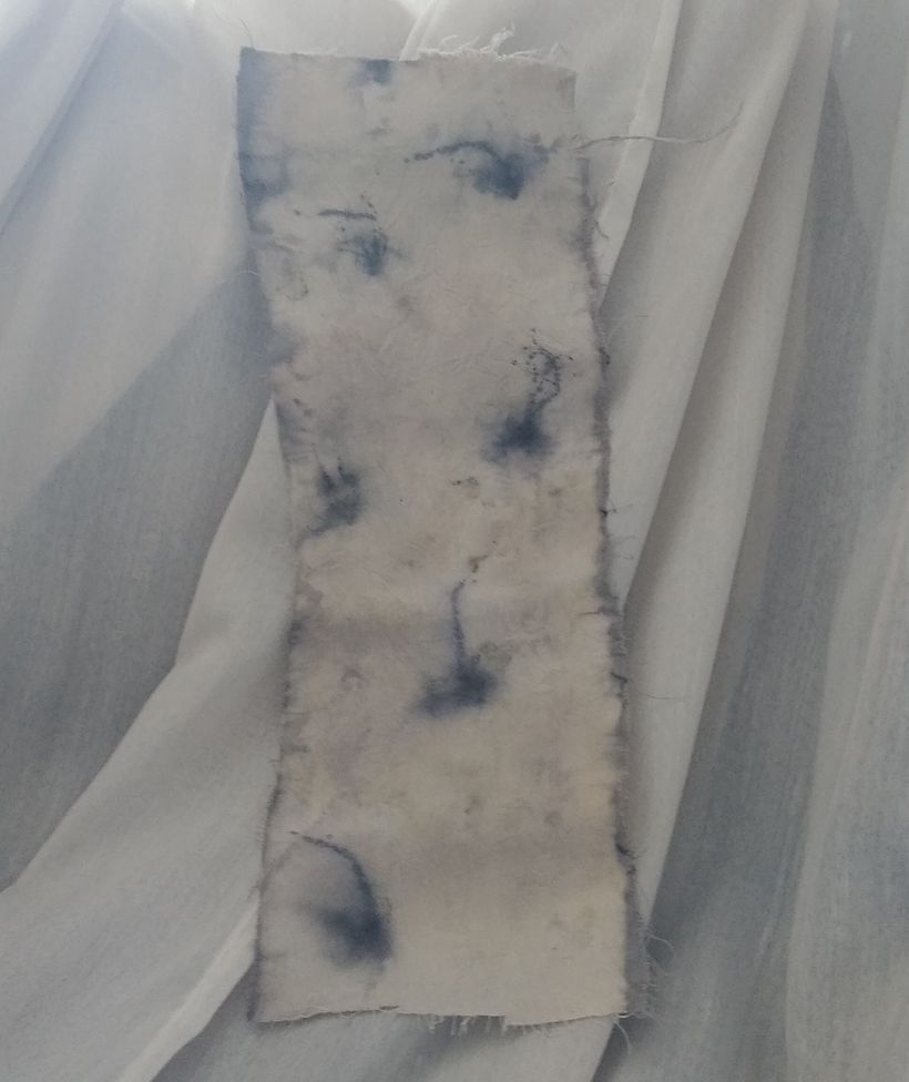 Amostra impressão com flores e banho de sulfato ferroso