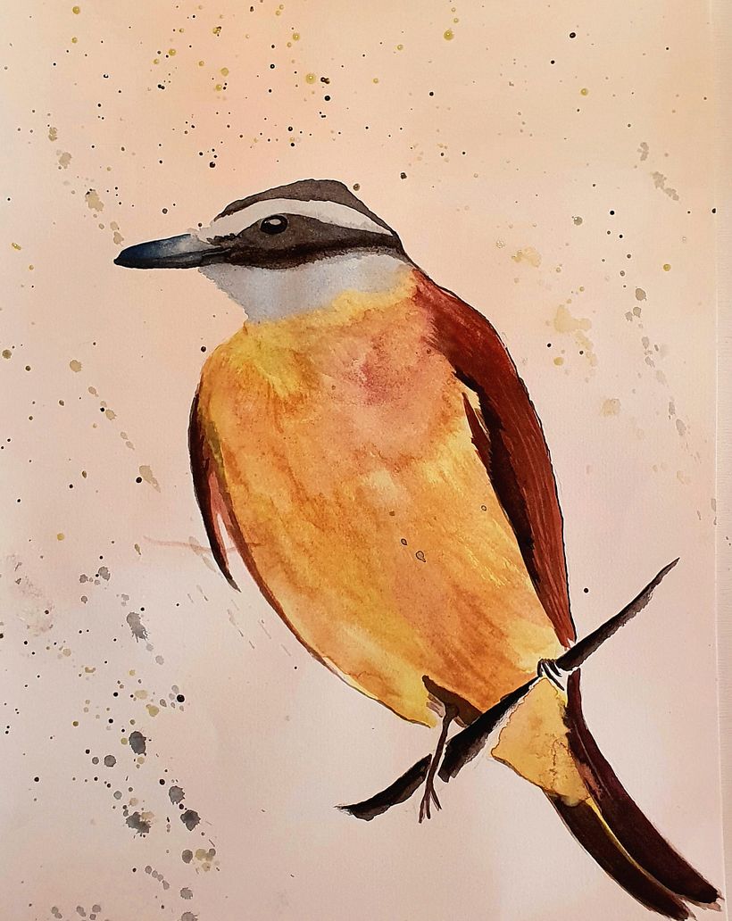 Desenho feito a mão. Sem papel vegetal. Primeira vez desenhando pássaros. Adorei o curso, muito didático e explora muitos tem