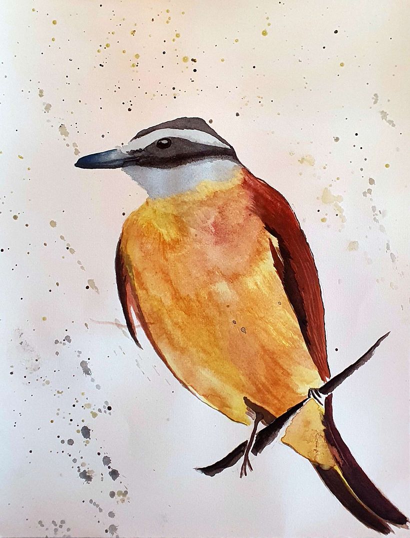 Meu projeto do curso: Técnicas expressivas de aquarela para ilustração de pássaros 0