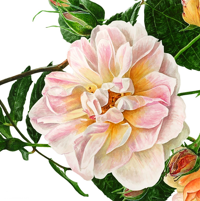 Anna Mason's work is extremely realistic.