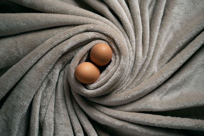 Proyecto personal - Nidos  -1