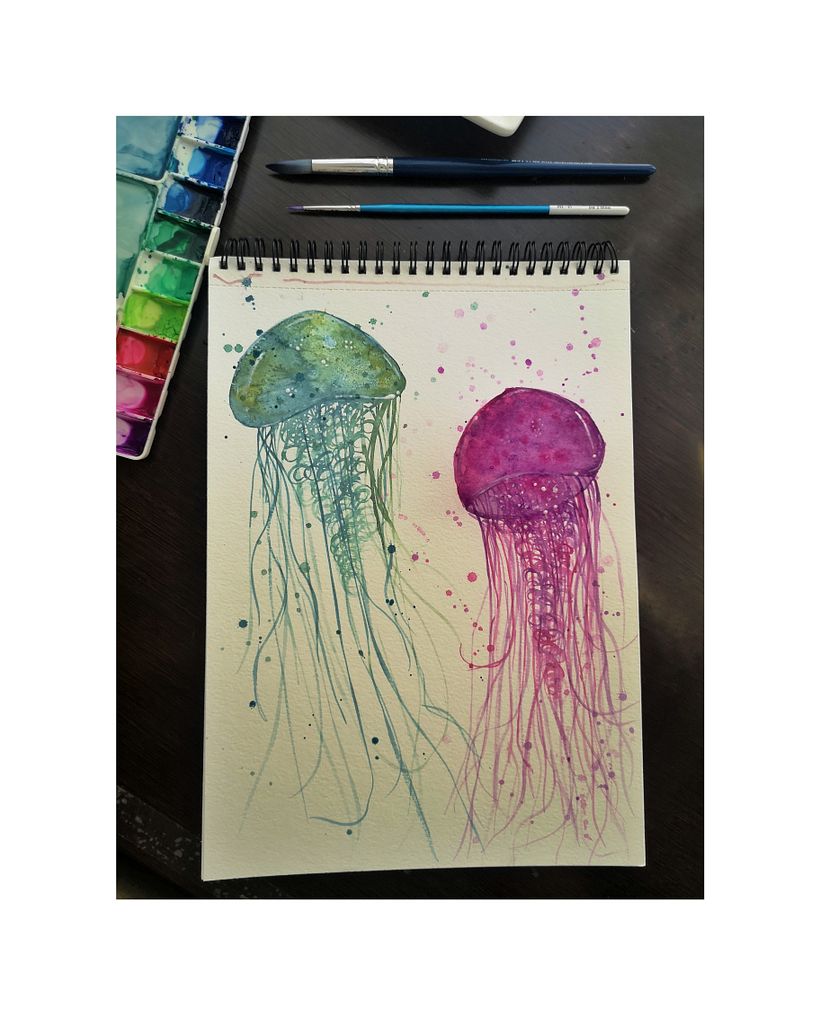 Medusas!