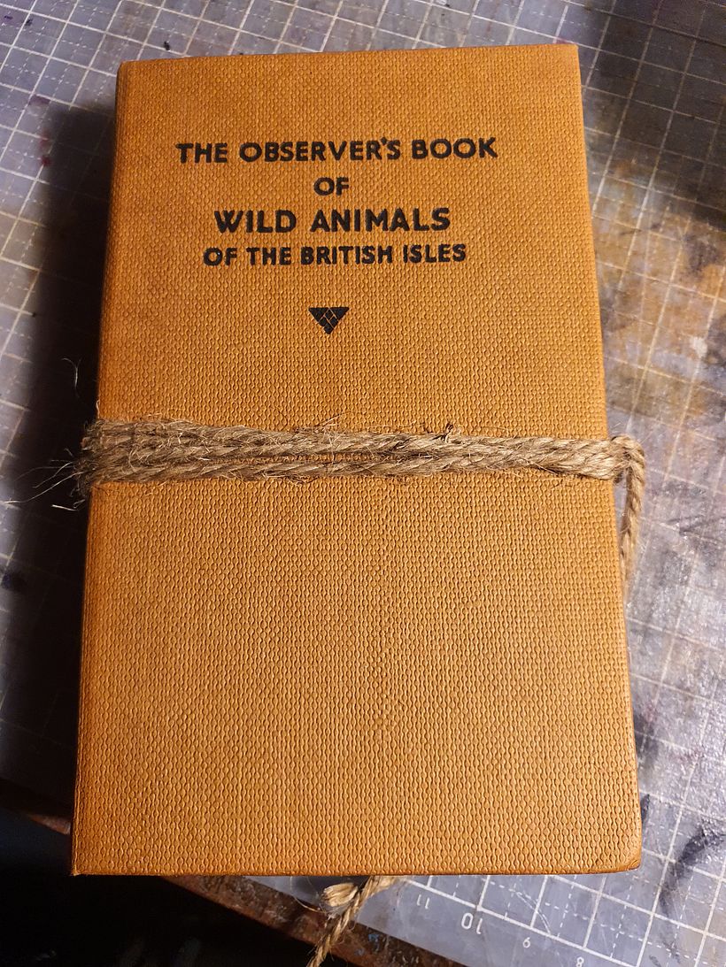 Repurchase an old book 1