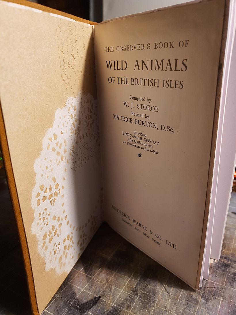 Repurchase an old book 3