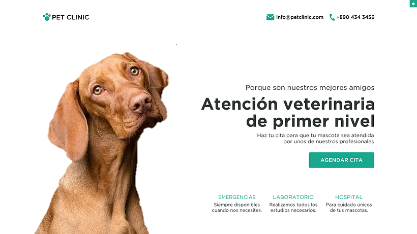 Mi Proyecto del curso: Diseño de interfaces para sitios web y aplicaciones 1