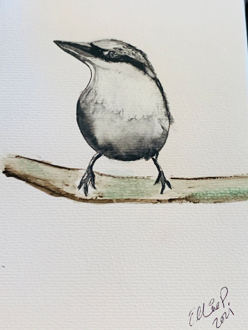 mono color bird -1