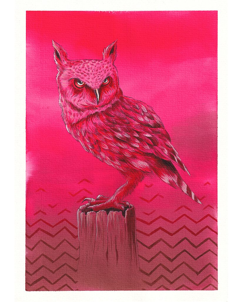 Owls are not what they seem -1