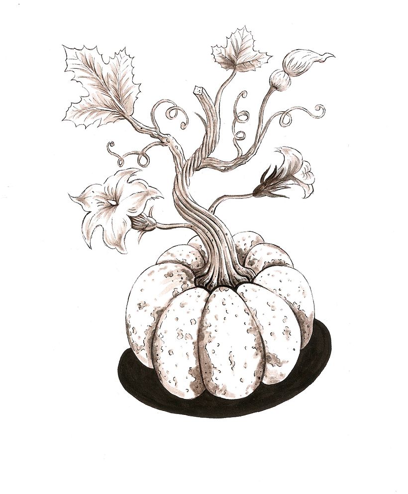 Inktober 2019 - Dibujo