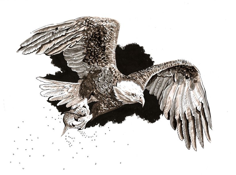 Inktober 2019 - Dibujo