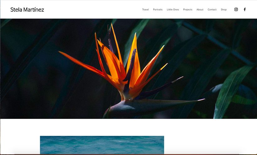 Mi Proyecto del curso: Creación de una página web en Squarespace 0