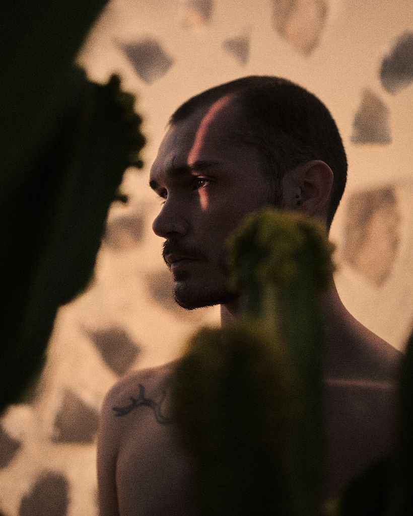Identity 6