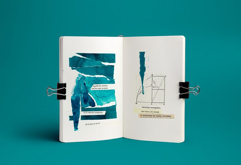 Moleskines: Collage and drawings 5