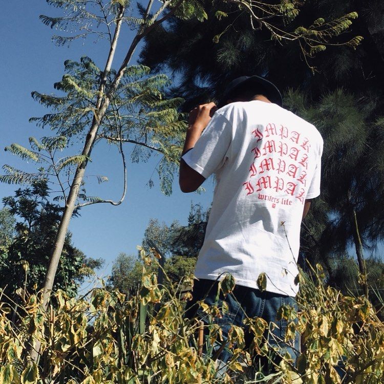 Mi Proyecto del curso: Creación de una marca de streetwear 0