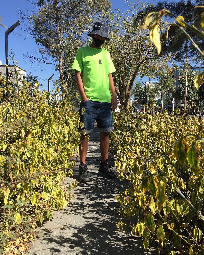 Mi Proyecto del curso: Creación de una marca de streetwear 6