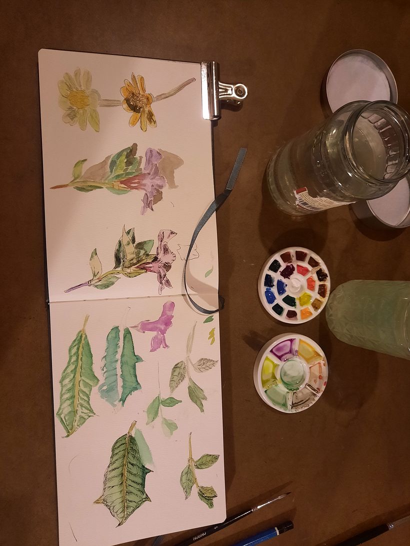 My project in Botanical Watercolor Sketchbook course 0