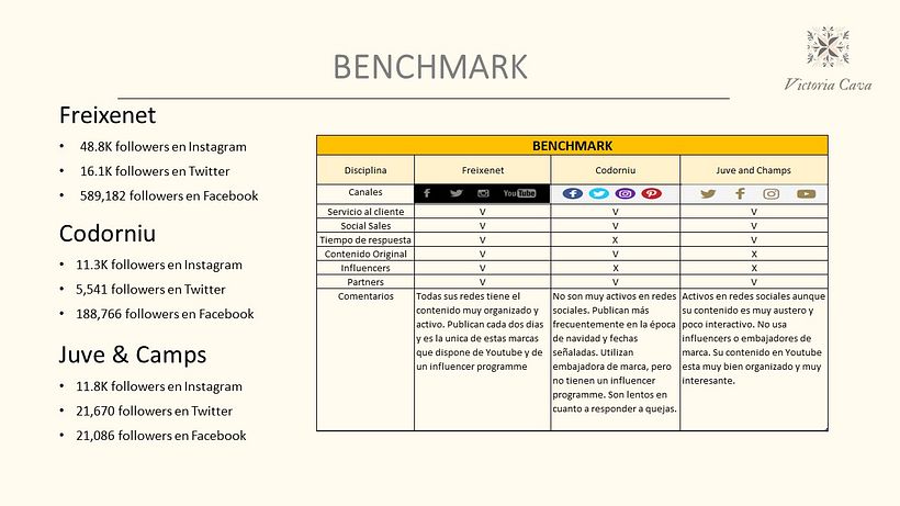 Mi Proyecto del curso: Introducción al community management 2