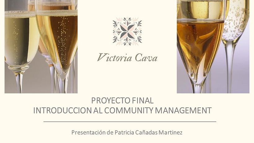 Mi Proyecto del curso: Introducción al community management 0