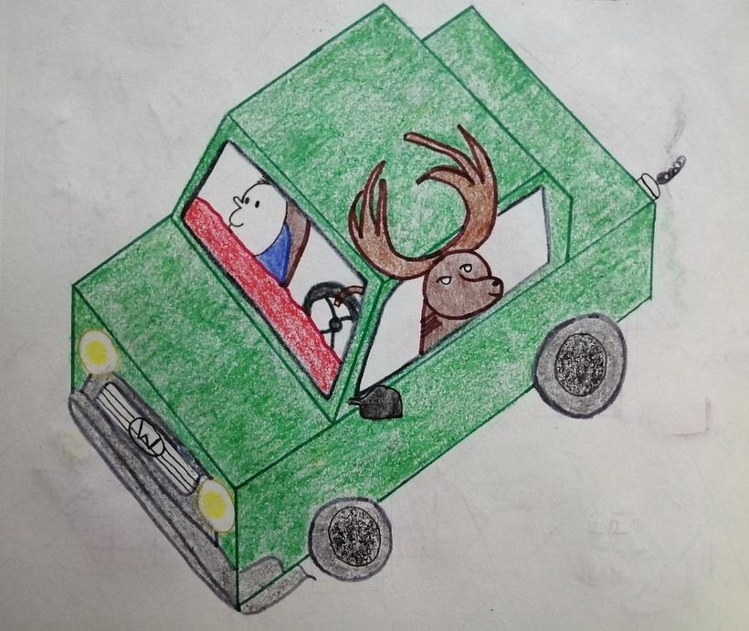 Un auto y un venado